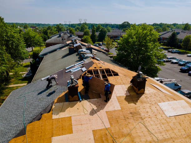 24/7 Emergency Metal Roofing experts in Dellrose, TN